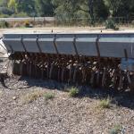 Cambria_0403 (November 01, 2013)